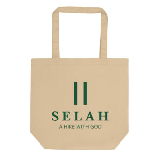 Selah Trail Tote in oyster, front view